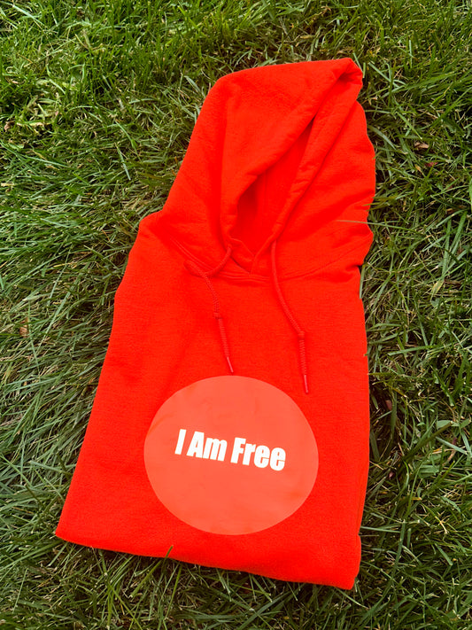 2/7 IAM Reflective Hoodie