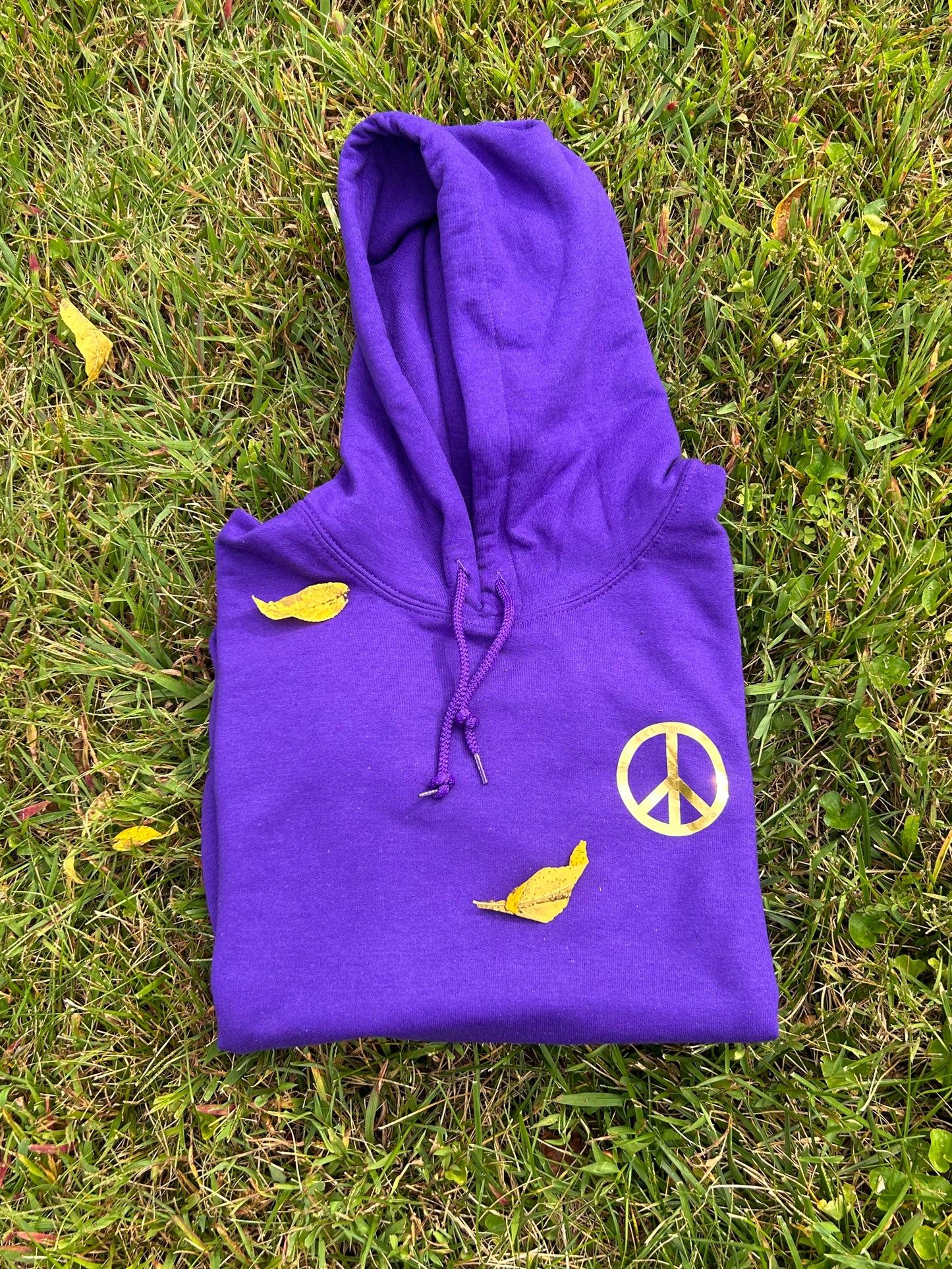 Peace of Mind Hoodie