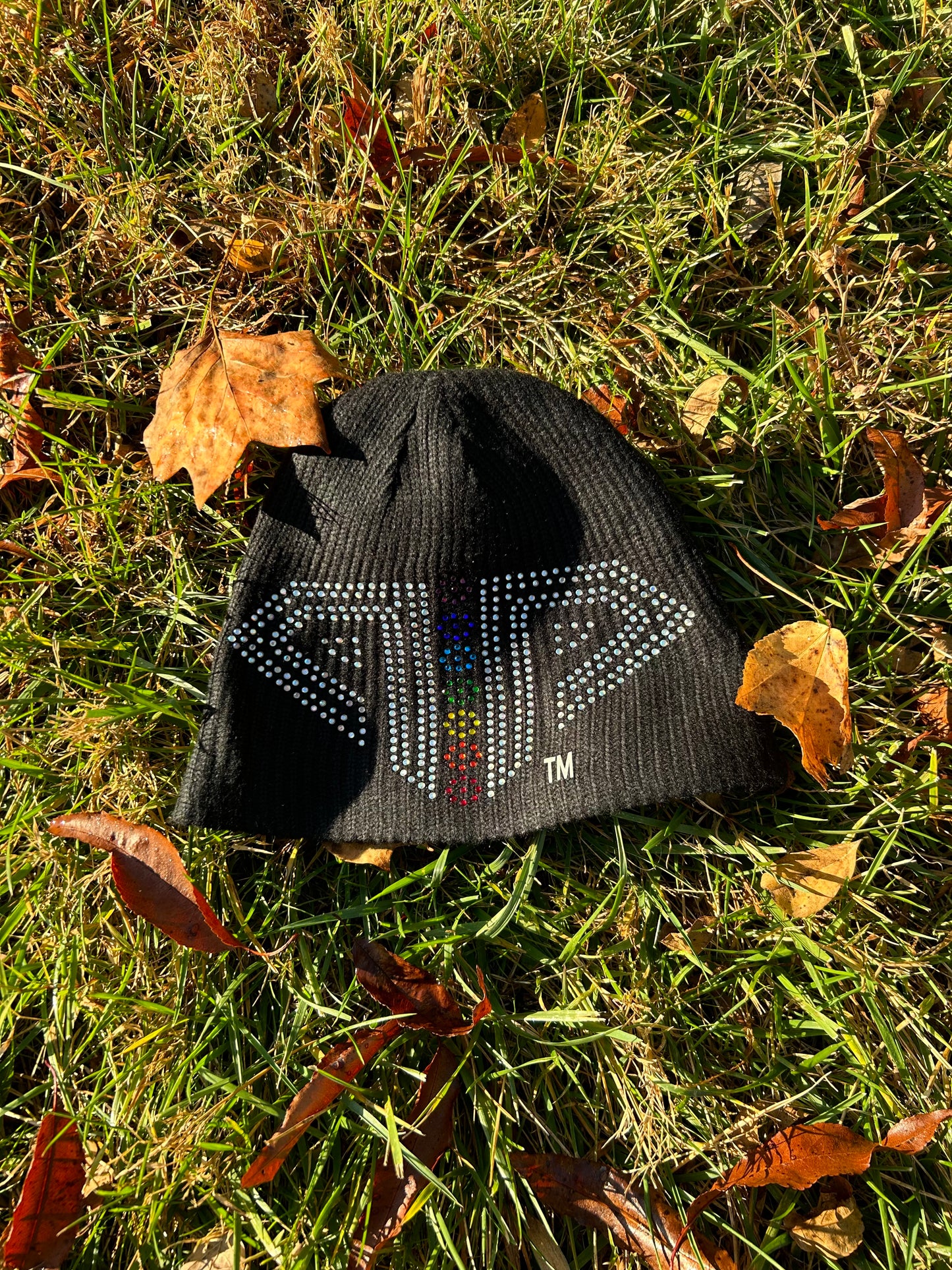 Icy Logo Beanie