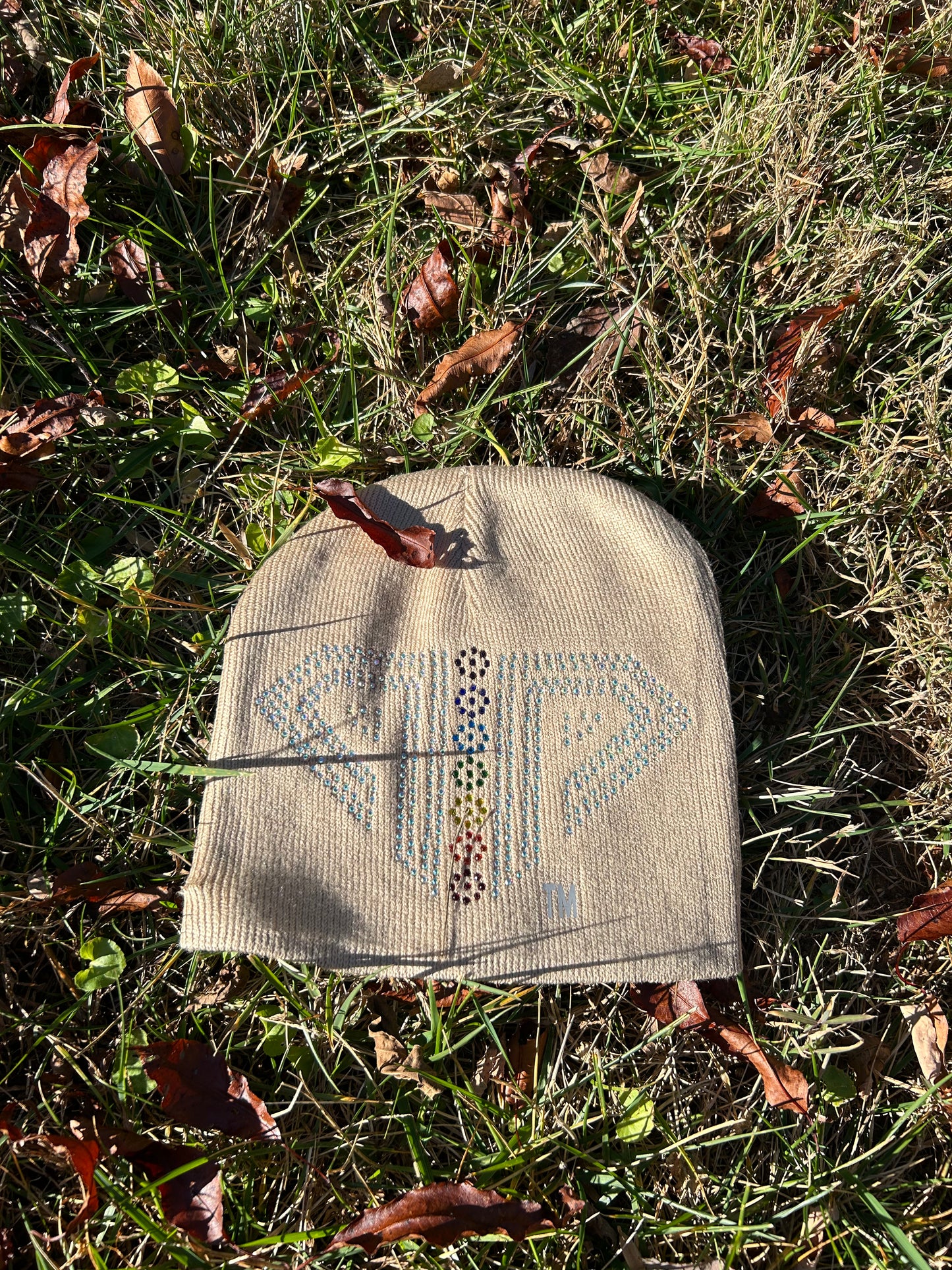 Icy Logo Beanie